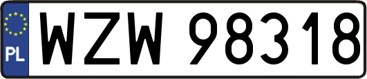 WZW98318