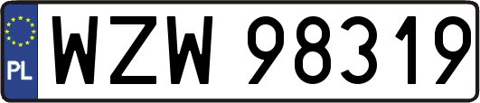 WZW98319