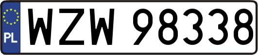 WZW98338