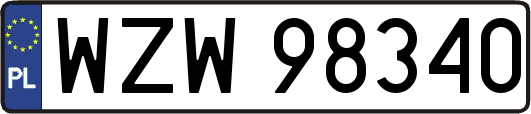 WZW98340