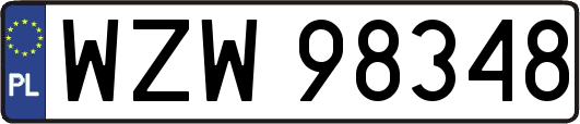 WZW98348