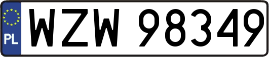 WZW98349