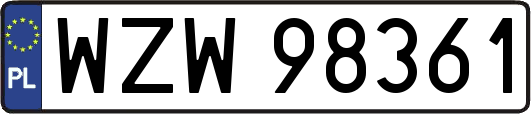 WZW98361
