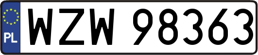 WZW98363