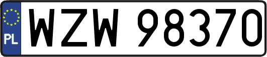 WZW98370