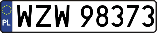 WZW98373