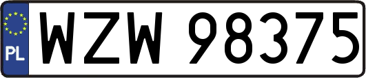 WZW98375