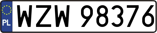 WZW98376