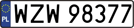 WZW98377