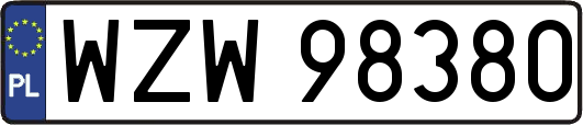 WZW98380