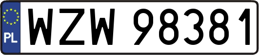 WZW98381