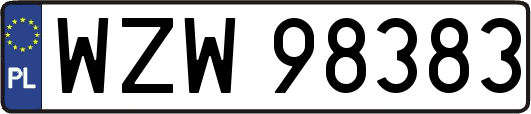 WZW98383