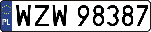 WZW98387