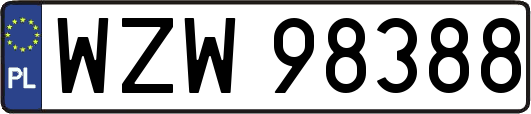 WZW98388