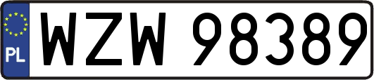 WZW98389