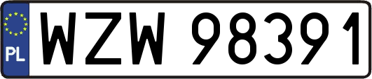 WZW98391