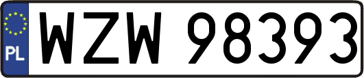 WZW98393