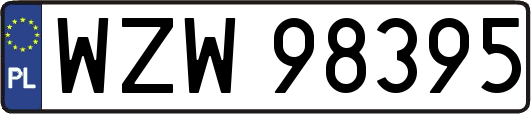 WZW98395