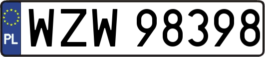 WZW98398