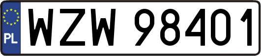 WZW98401