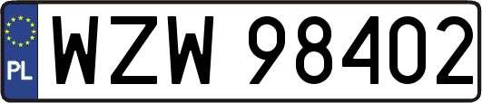 WZW98402