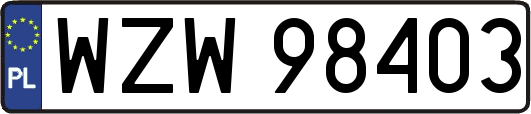 WZW98403