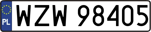 WZW98405
