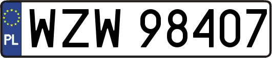 WZW98407