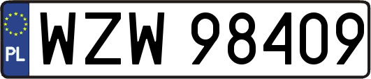 WZW98409