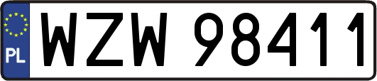 WZW98411