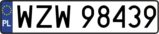WZW98439