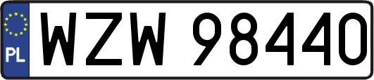 WZW98440