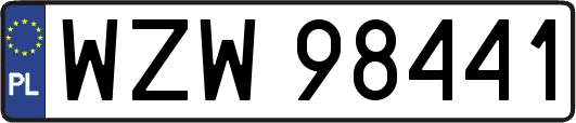 WZW98441