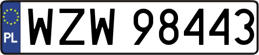 WZW98443