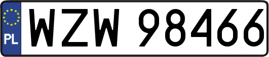 WZW98466