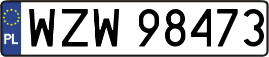 WZW98473