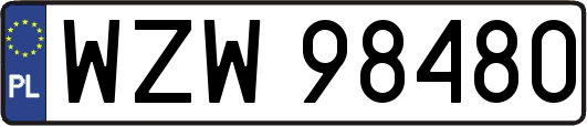 WZW98480