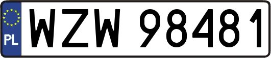 WZW98481