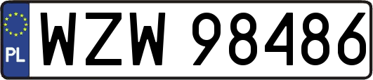 WZW98486