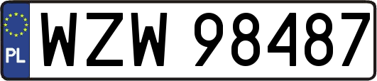WZW98487