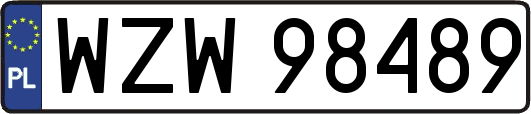 WZW98489