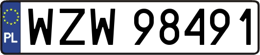WZW98491
