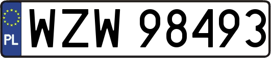WZW98493
