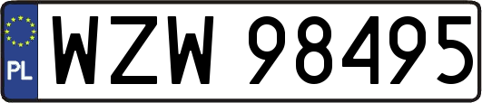 WZW98495