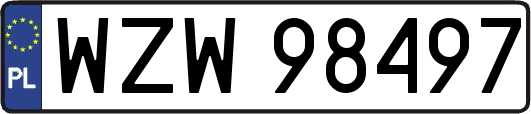 WZW98497