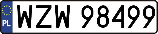 WZW98499