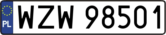 WZW98501