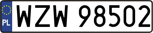 WZW98502