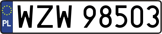 WZW98503