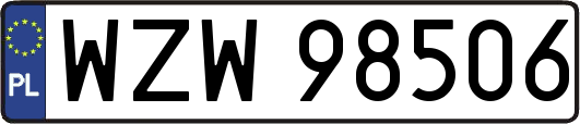 WZW98506
